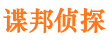 带岭侦探公司